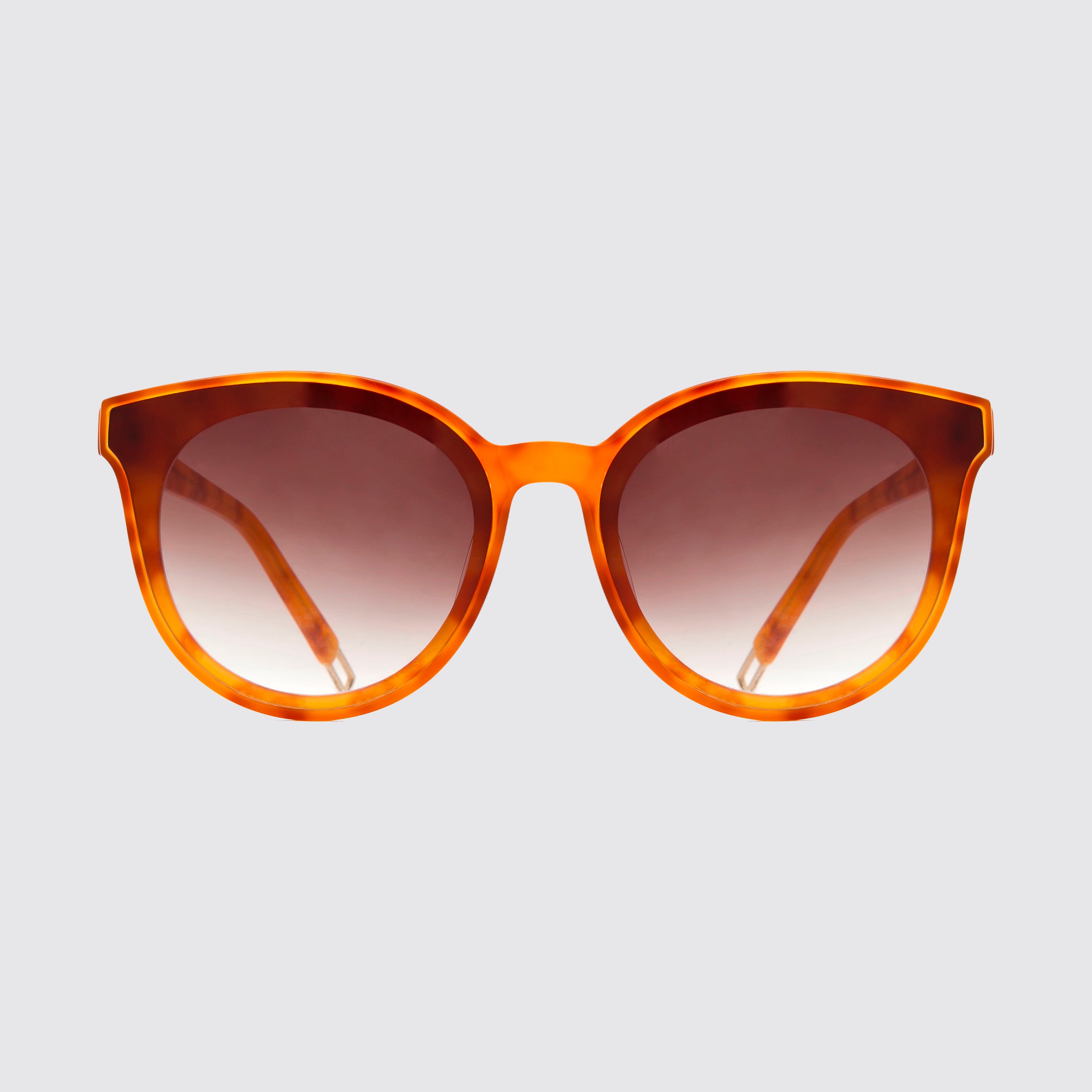 Arc Honey Tortoise