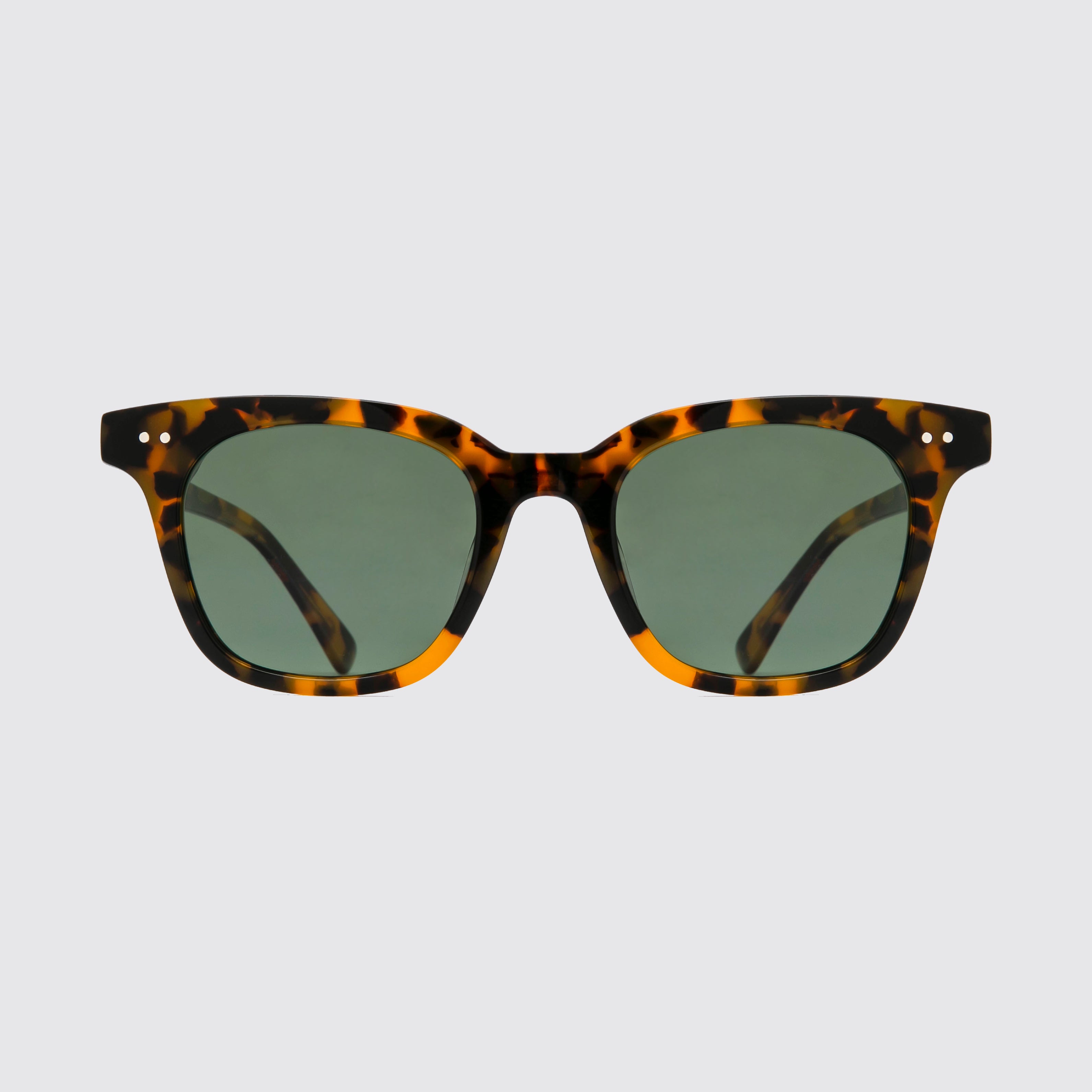 Classica Brown Tortoise