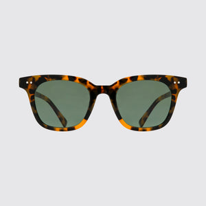 Classica Brown Tortoise
